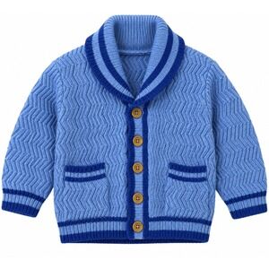 Sunflower Cardigan Vintage Preppy Winter Shawl Collar Cable Knit Blue Boys 3T